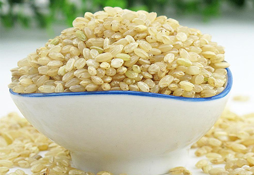 上海发芽糙米什么季节吃更好